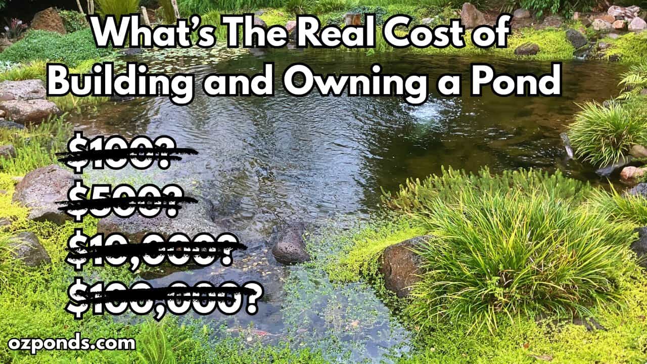 What’s The Real Cost of Building and Owning a Pond