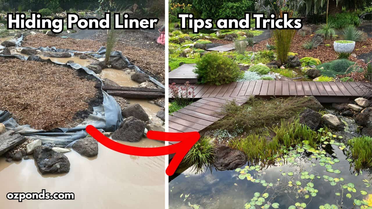 Hiding pond liner Tips and Tricks