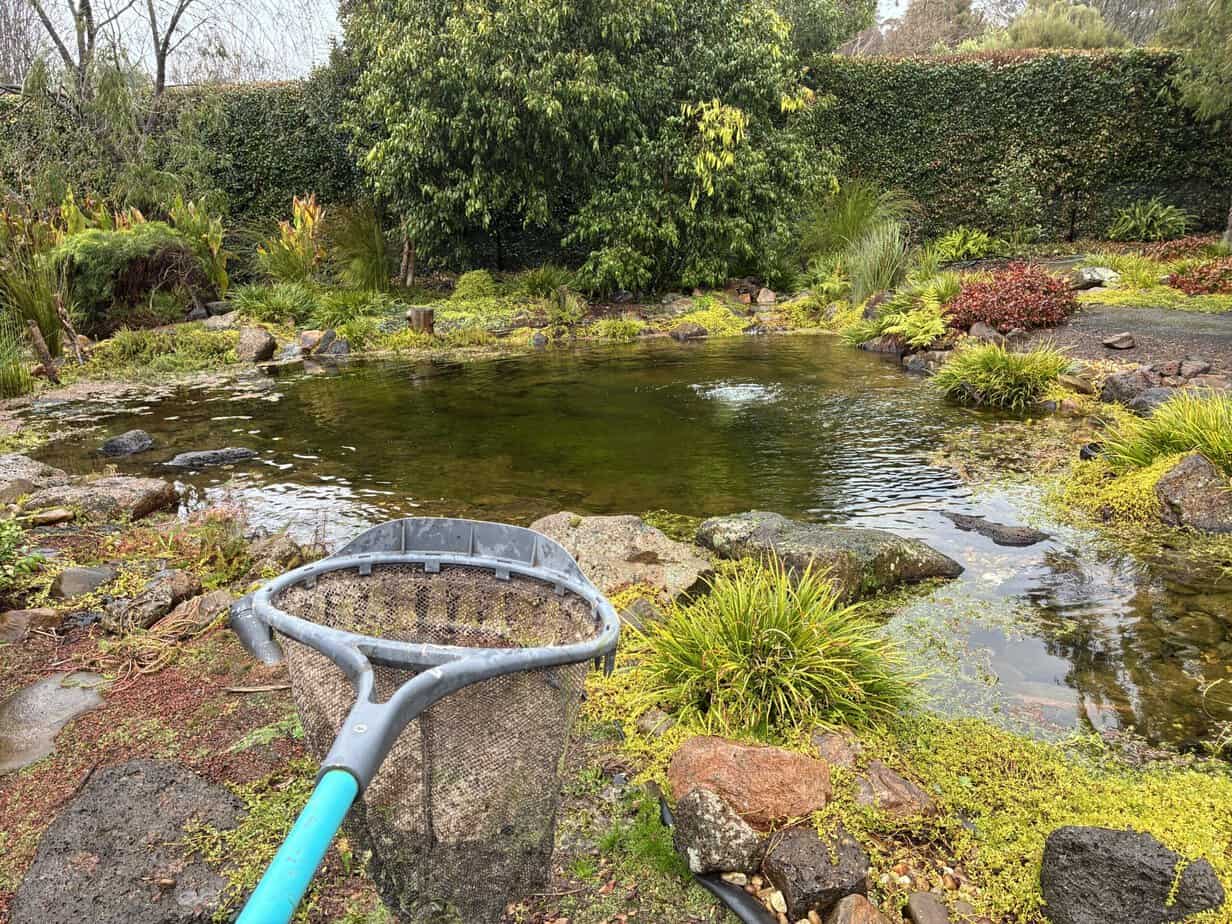 Pond Maintenance: Why Your Pond Changes in Cold Weather