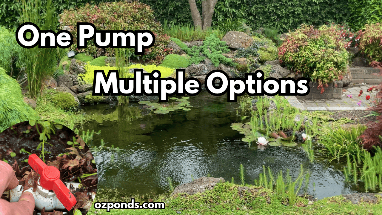 How to Run Multiple Pond Features From One Pump