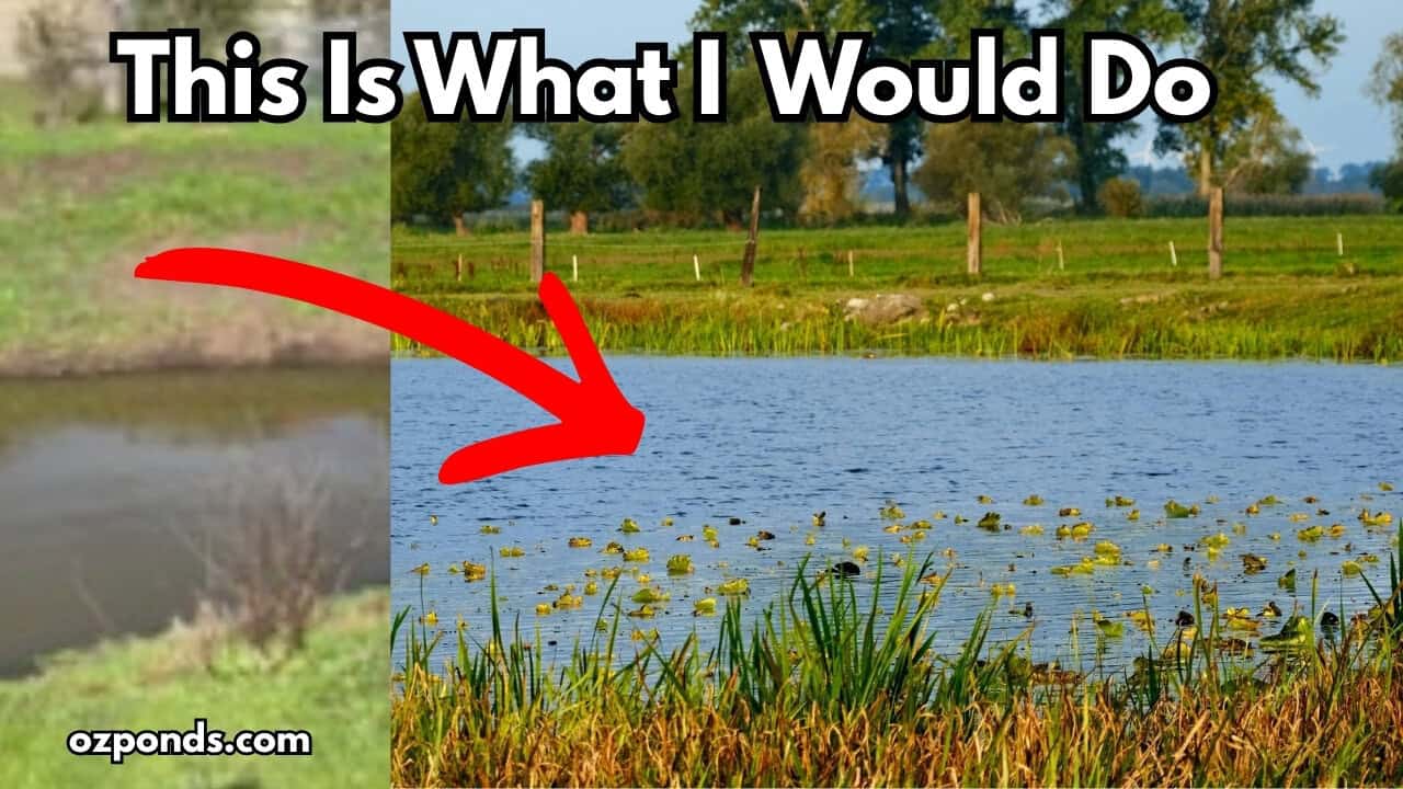 Can You Turn an Old Farm Dam Into a Natural Pond?
