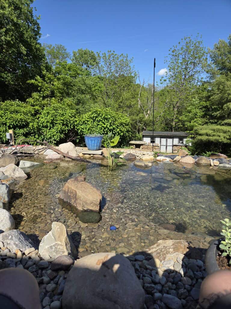 Matts DIY pond Southern Indiana