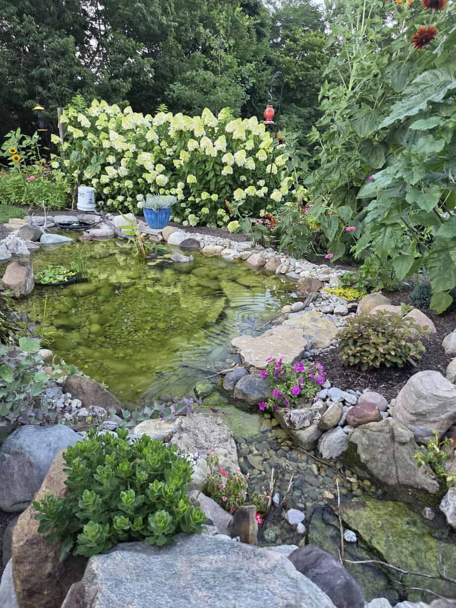 Matts DIY pond Southern Indiana