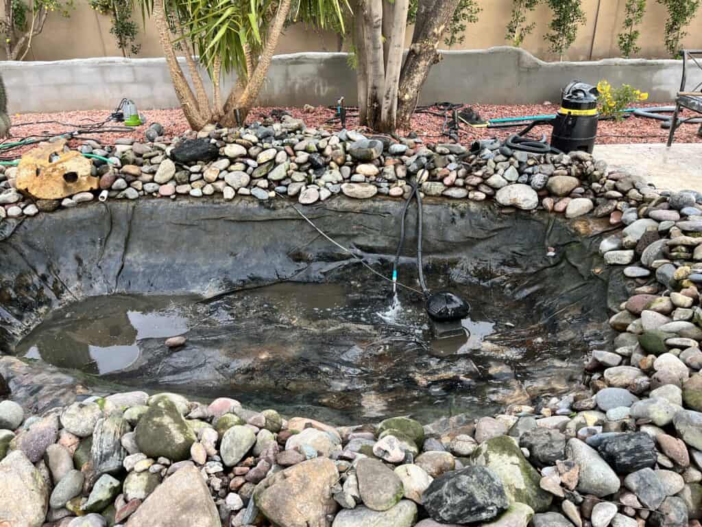 Lee's DIY Pond Phoenix Arizona