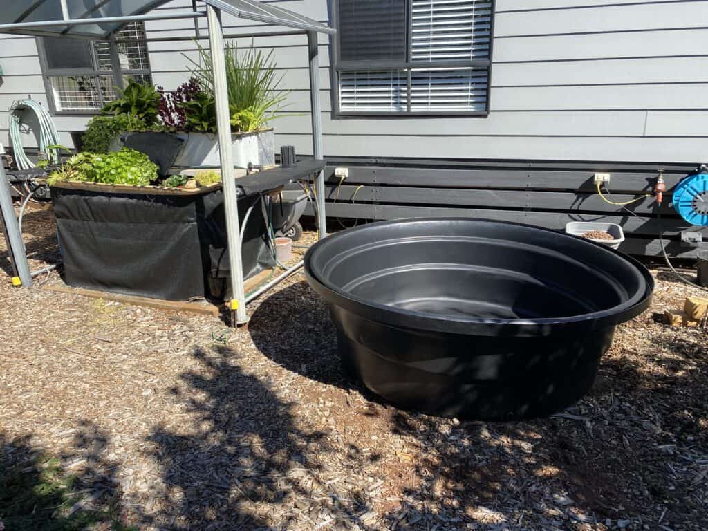 DIY Above-Ground Pond: Judy's 1,500L Pond & Bog Filter