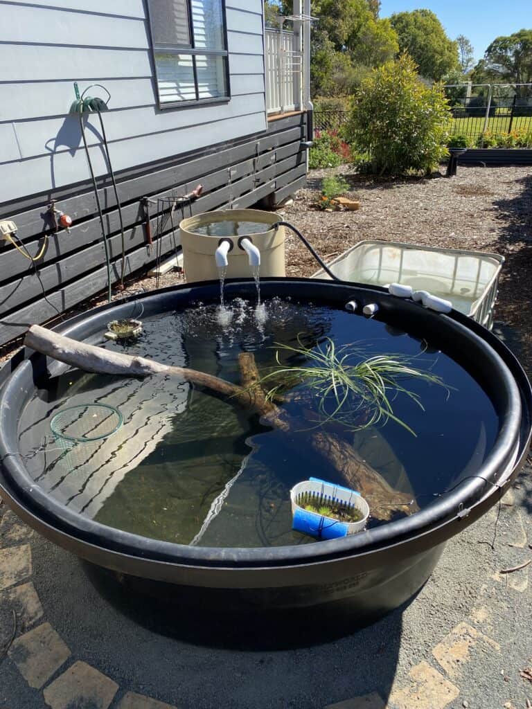 DIY Above-Ground Pond: Judy's 1,500L Pond & Bog Filter