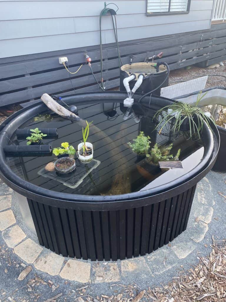 DIY Above-Ground Pond: Judy's 1,500L Pond & Bog Filter