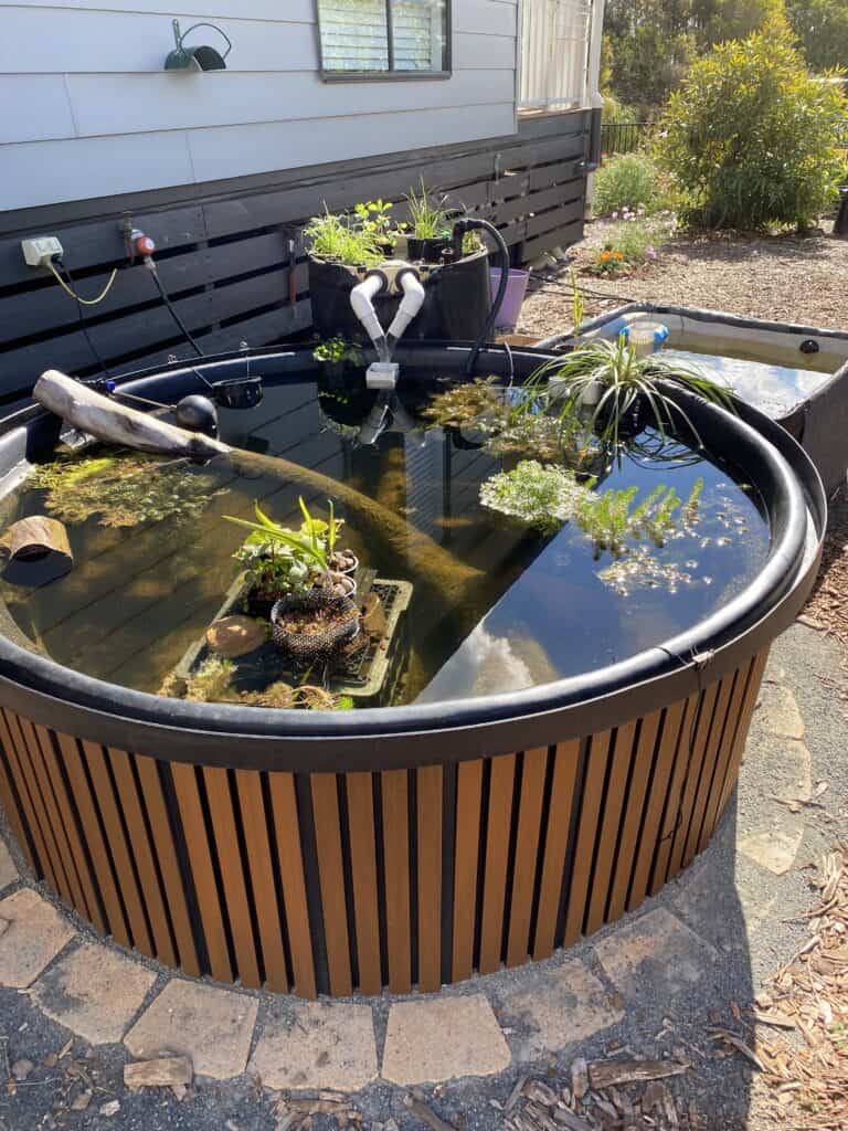 DIY Above-Ground Pond: Judy's 1,500L Pond & Bog Filter