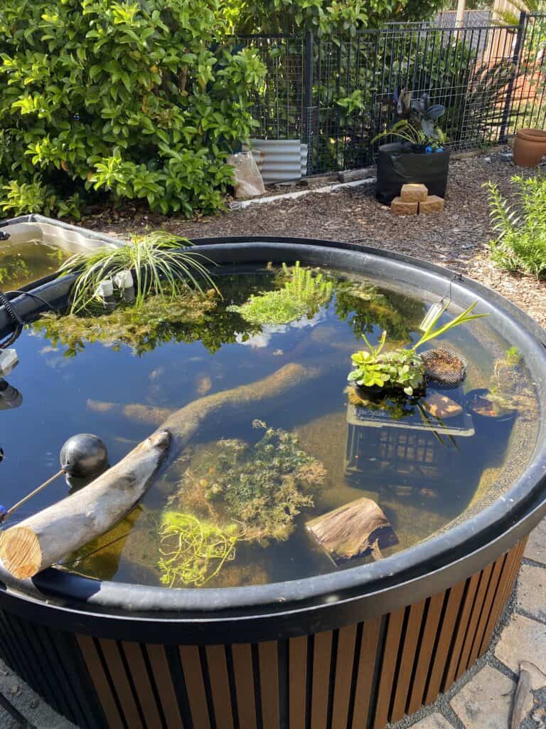 DIY Above-Ground Pond: Judy's 1,500L Pond & Bog Filter