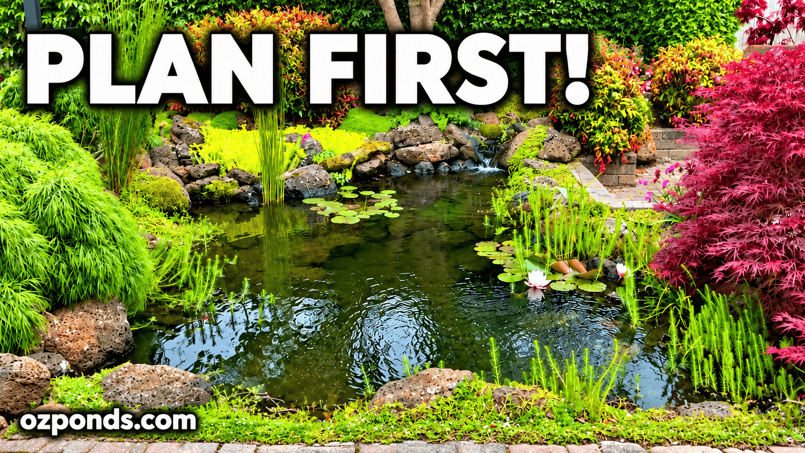 5 things to consider before you dig a pond